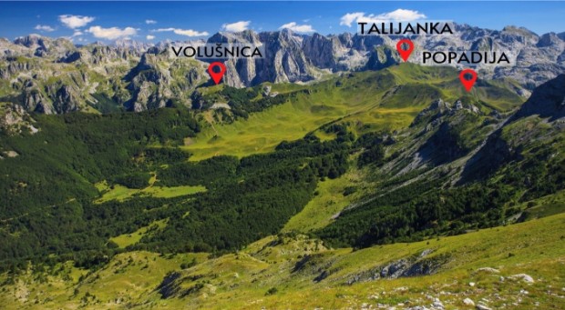 plan aktivnosti